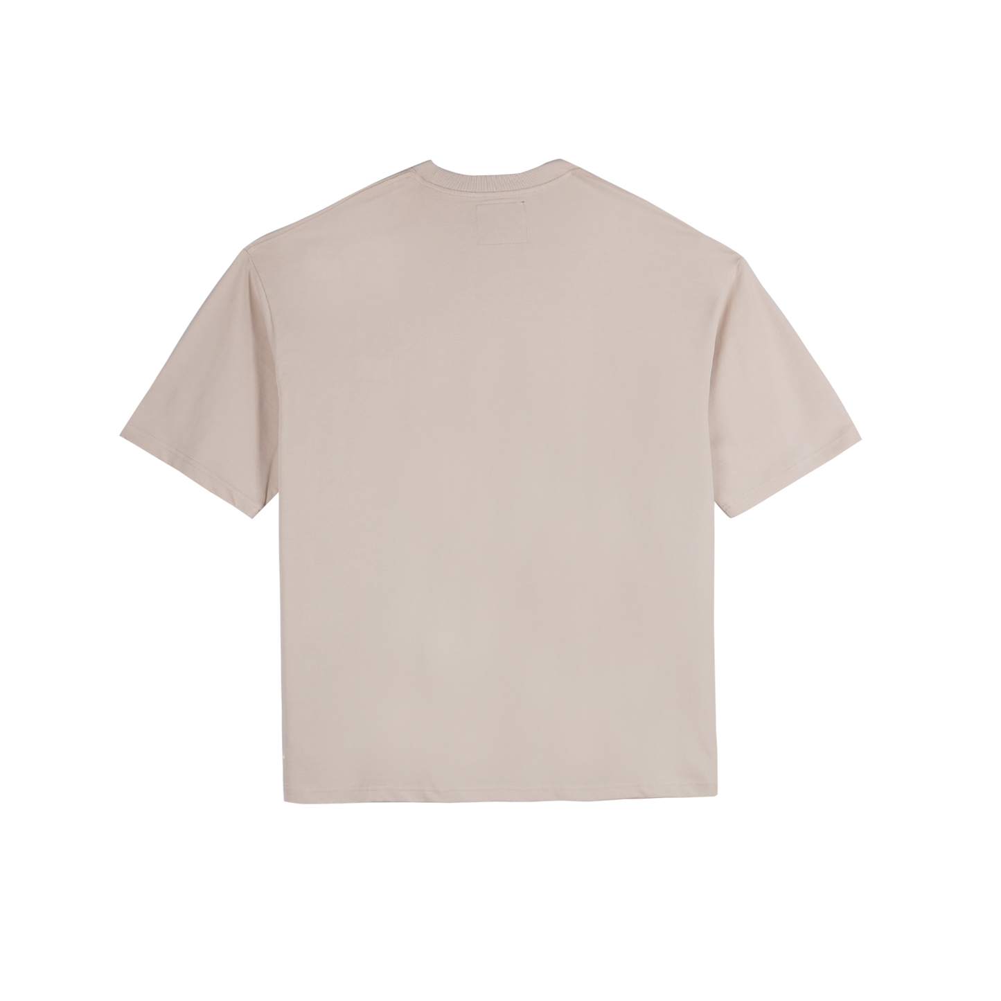 Petrol Men's Basic Tees Oversized Fitting 172478 (Sand)